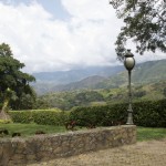 View from a country house
