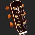 Alvarez Headstock